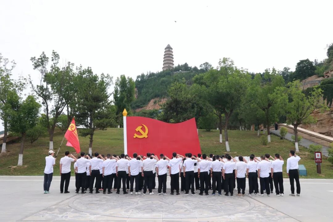 上传的文章图片